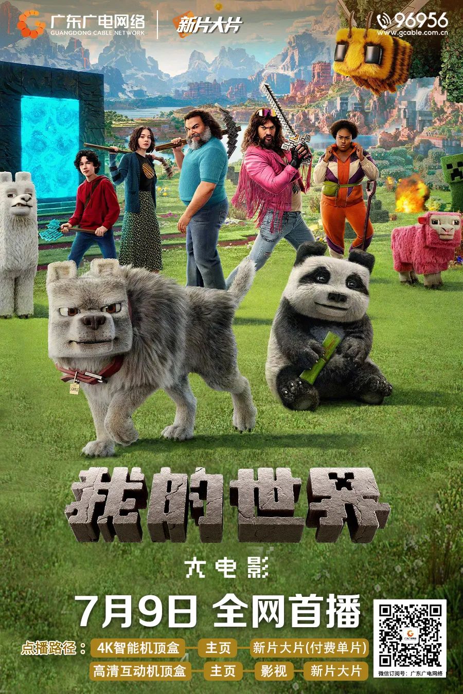 图片